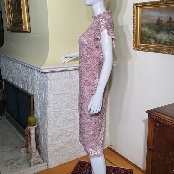 En Focus Pink Lace Sheath Dress - Picture 5 of 13